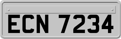 ECN7234