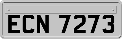 ECN7273