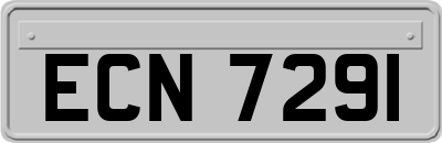 ECN7291