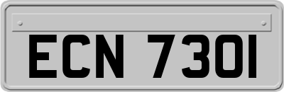 ECN7301