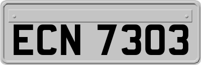 ECN7303