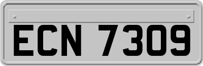 ECN7309
