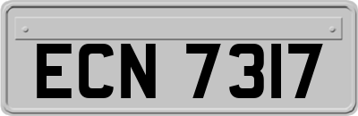 ECN7317