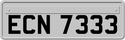 ECN7333