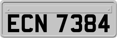 ECN7384