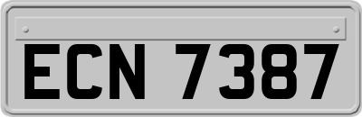 ECN7387