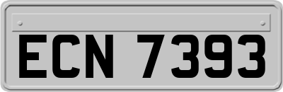 ECN7393