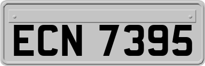 ECN7395