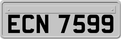 ECN7599
