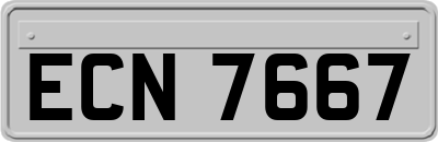 ECN7667