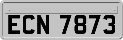 ECN7873