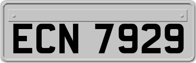 ECN7929
