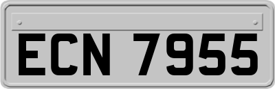 ECN7955