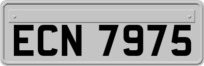 ECN7975