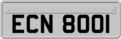 ECN8001