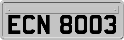 ECN8003
