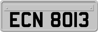 ECN8013
