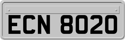 ECN8020