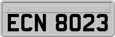 ECN8023