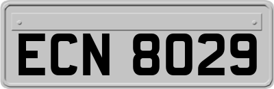ECN8029