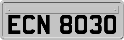 ECN8030