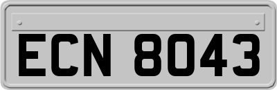 ECN8043