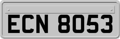 ECN8053