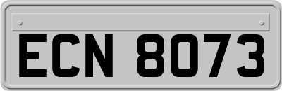 ECN8073
