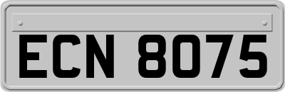 ECN8075