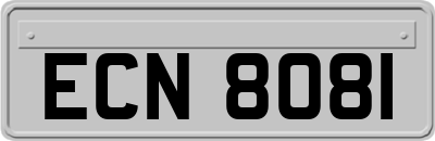 ECN8081