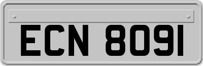 ECN8091