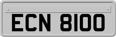 ECN8100