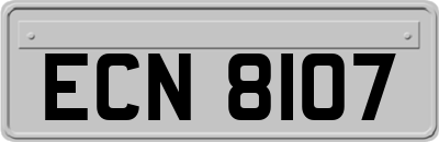 ECN8107