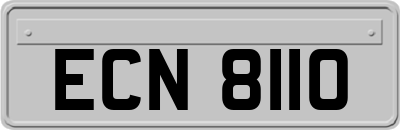 ECN8110