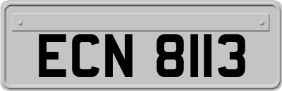 ECN8113