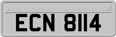 ECN8114