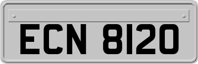 ECN8120