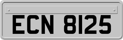 ECN8125