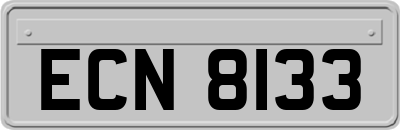 ECN8133