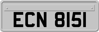 ECN8151