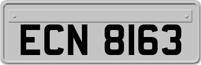 ECN8163