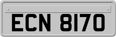 ECN8170