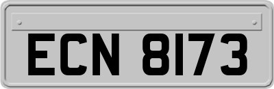 ECN8173