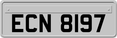 ECN8197