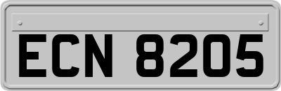 ECN8205
