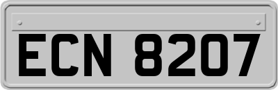 ECN8207