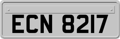 ECN8217