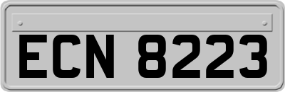 ECN8223