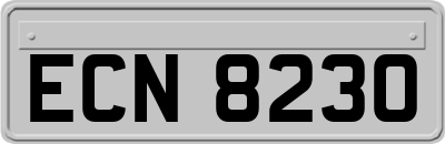 ECN8230