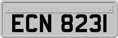 ECN8231